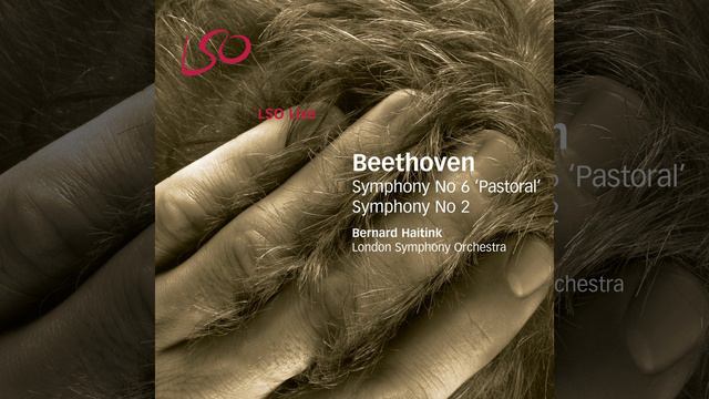 Symphony No. 6 in F Major, Op. 68 "Pastoral": III. Lustiges Zusammensein der Landleute. Allegro смотреть онлайн