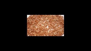 Как варить коричневый рис