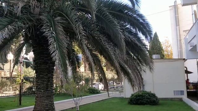 ОТЕЛЬ SEA GALAXY 4* СОЧИ. ТЕРРИТОРИЯ И ОКРЕСТНОСТИ. 28.11. 2020.