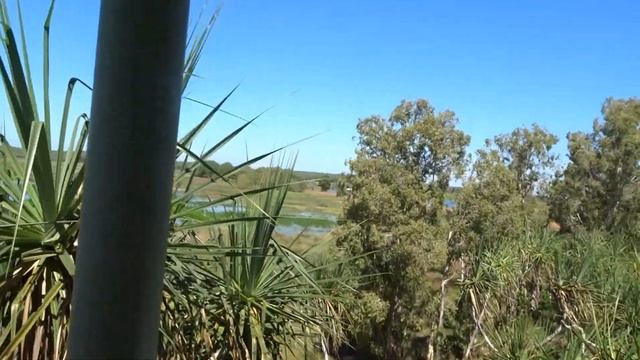 Fogg Dam Conservation Reserve #NT #Australia 2021 смотреть онлайн