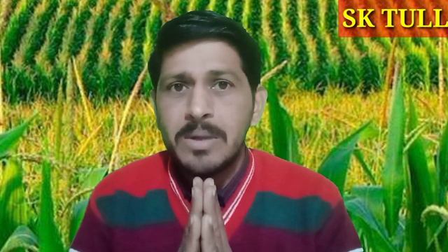 गरीब अनपढ़ बेरोजगार 20-30 हजार महीने कमाओ 🔥 मात्र 1000 उ. से शुरू करें अपना बिजनेस @RKTULL смотреть онлайн