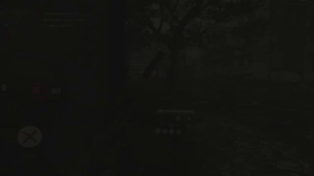 WINDING JAN/OLD DARK ZONE/ПОСЛЕ ЭТОГО ВИДЕО РОНИН УДАЛЯЕТ ИГРУ смотреть онлайн