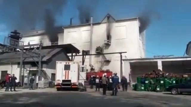 «Второй этаж уже выгорел»: мощный пожар на старейшем предприятии Приморья смотреть онлайн