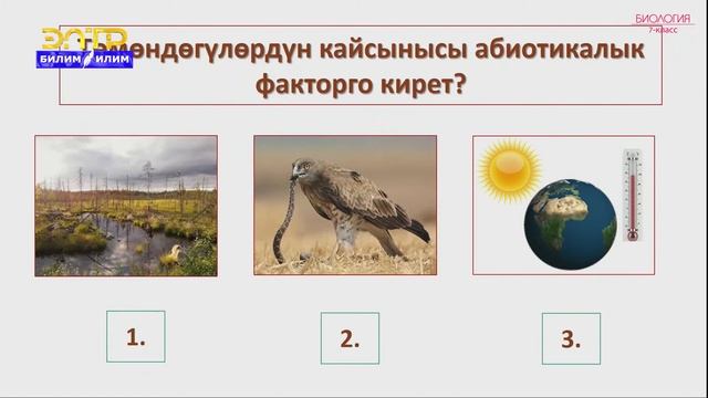 7-класс | Биология | Экологиялык факторлордун өсүмдүктөргө жана жаныбарларга тийгизген таасири