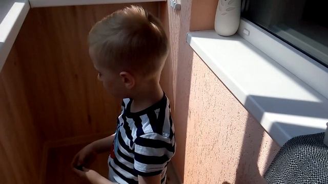 Большой чёрный водолюб смотреть онлайн