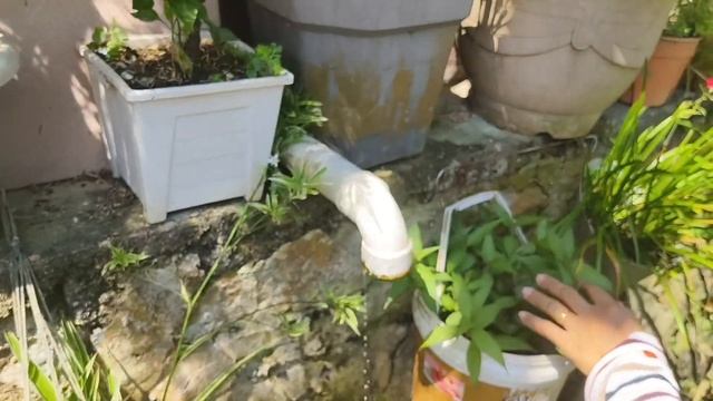 Jeruk Labu Yang Rangup Resepi Kawan Chinese Labu Saya Kena Serang Lembu Tak Sempat Membesar смотреть онлайн