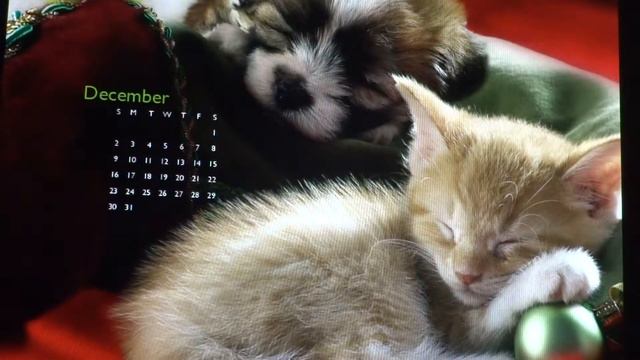 Детская песенка Волшебник недоучка,,,пою я смотреть онлайн