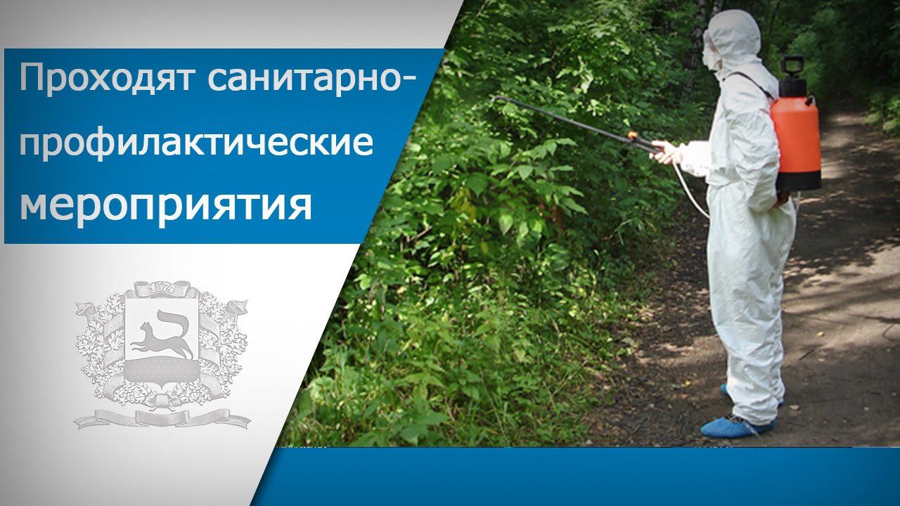 В Уфе проходят весенние санитарно-профилактические мероприятия смотреть онлайн