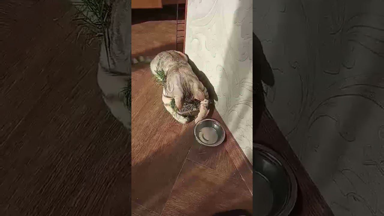 22 января 2020 г. смотреть онлайн