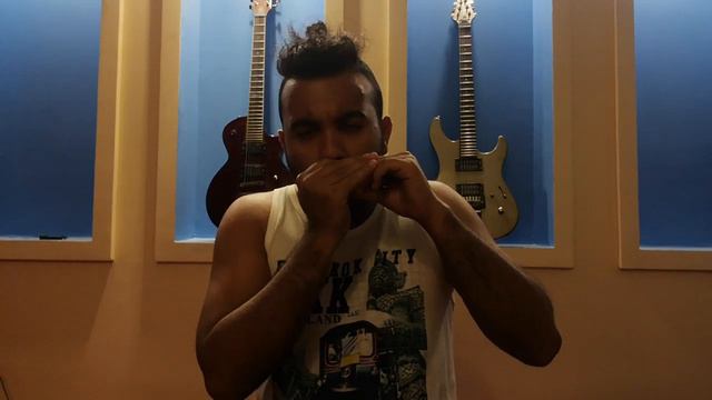 Bella Ciao Harmonica (cover) смотреть онлайн