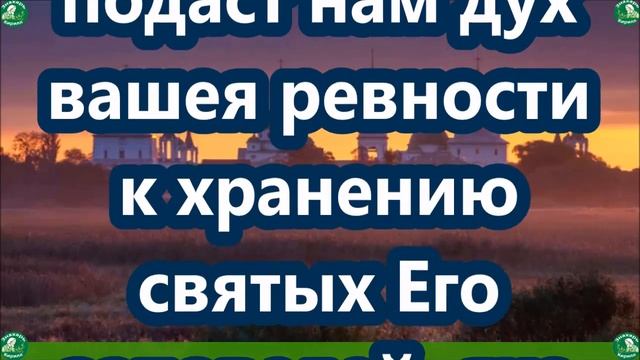 4 Сильные Молитвы На Ноябрь "Всем Святым" От Порчи, Колдовства и Чёрной Магии | Знахарь-Кирилл ✝☦ смотреть онлайн