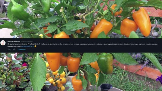 Итоги конкурса Лето.Солнце.Rutube. Победитель выбран! смотреть онлайн