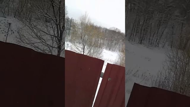 Озеро в лесу!Строительство дамбы.начало смотреть онлайн