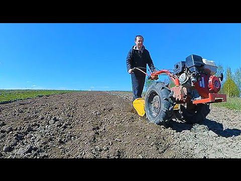 Фрезеруем почву || Cажаем картофан || мотоблок Беларус || Не успели. смотреть онлайн