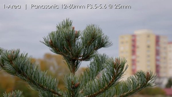 Panasonic G85 Video Autofocus Tutorial