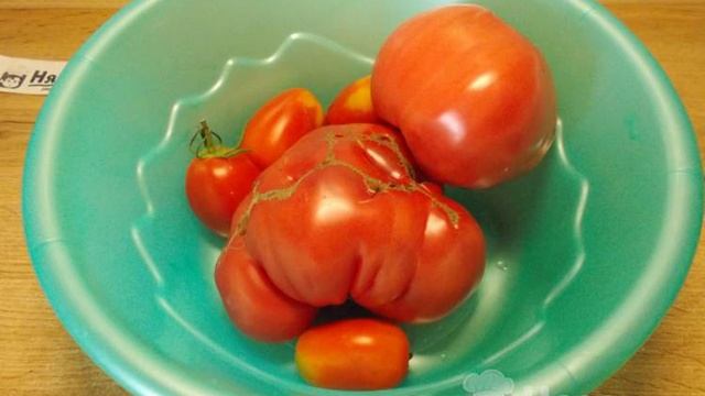 Книга рецептов