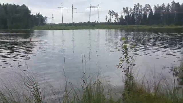 5 июля 2020 Фрязино тов - Красноармейск смотреть онлайн