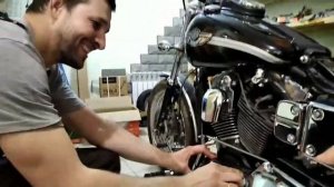 Один день из жизни Дайны.