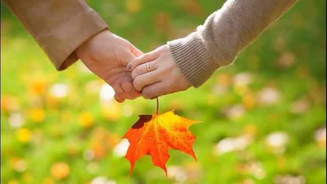 "Осенний романс" стихи А. Полтев муз С. Ковалёва исп П. Фомичёва смотреть онлайн