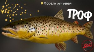 ФОРЕЛЬ РУЧЬЕВАЯ - ТРОФ - р. БЕЛАЯ  РУССКАЯ РЫБАЛКА 4 | RUSSIAN FISHING 4