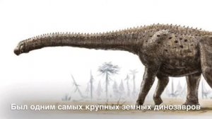 Кто такой-Аргентинозавр
