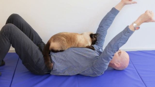 When Your Cat Interrupts Your Exercise Videos... And Wins? смотреть онлайн