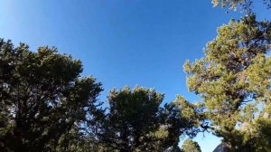 DJI AVATA Flight Test Review In-Depth (Pro-View Combo) Head Tracking, Speed, CRASHING, Pros & Cons