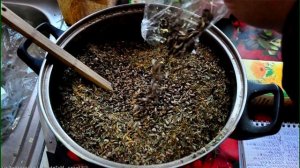 Расторопша - лечебные свойства и противопоказания