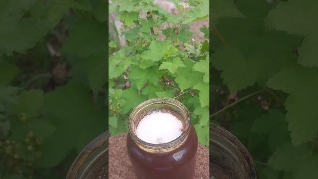 Как долго хранить варенье?Отличный способ!