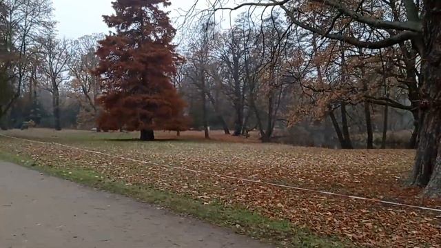 Берлин. Первый день зимы. Моя квартира, небольшой обзорчик)