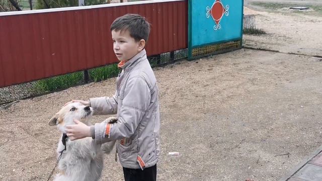 Весна в Камышеватской 🌊 Огород 🥔🧅 ХУТОРЯНКА 🌼 смотреть онлайн