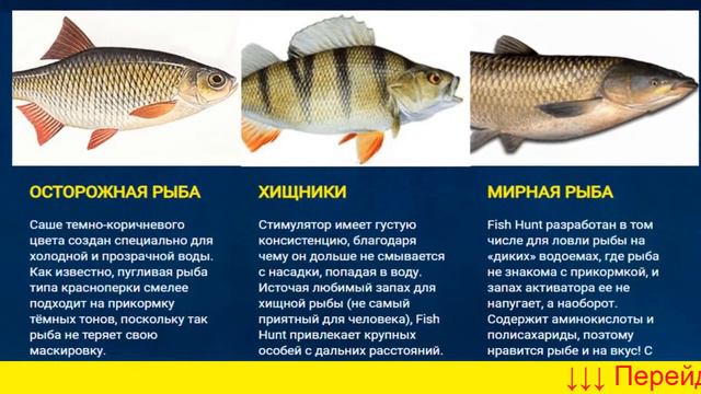 Fish Hunt Заказать смотреть онлайн