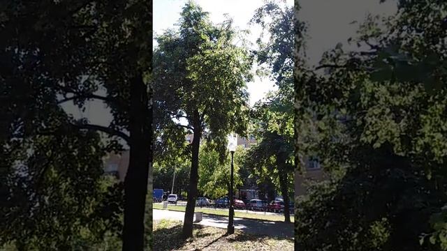 В городе лето, лето) смотреть онлайн