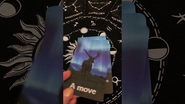 A Journey To Union Oracle - Deck Walk Through For Twin Flames ? смотреть онлайн