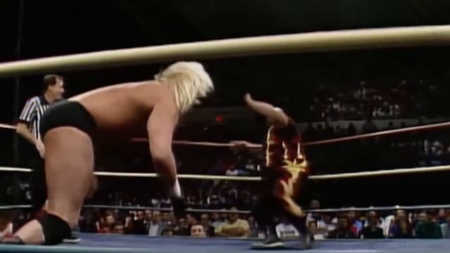 Pro Wrestlers In REAL FIGHTS