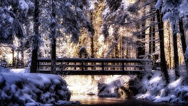 23 декабря лунный календарь. Новолуние. Лунный знак. Фаза луны сегодня. 30 лунные сутки смотреть онлайн