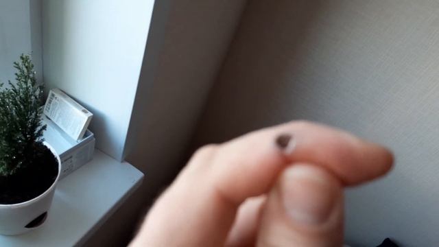 Чистотел ч.2 смотреть онлайн