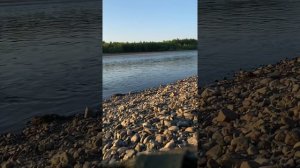 ЛОВЛЯ на БОМБАРДУ!!! Рыбалка 2022