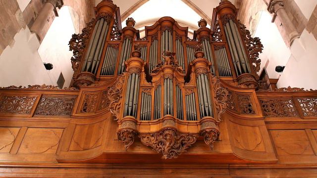 Daniel MAURER | BACH - Triosonate Nr.1 Es-Dur - Allegro, BWV 525-3 смотреть онлайн