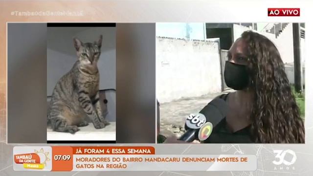 Foram 4 essa semana: moradora do bairro Mandacaru denuncia mortes de animais -Tambaú da Gente Manhã смотреть онлайн