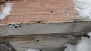 Мыши в ульях.