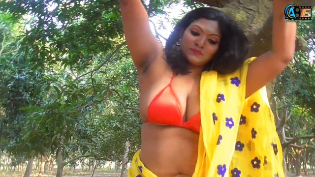 Saree Sundori । Saree Lover । Saree Fashion । Saree Shoot । Indian Beauty । RASHI । Bold Saree Styl