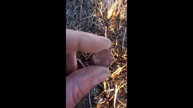 Коп 2015 г. серия №4 смотреть онлайн