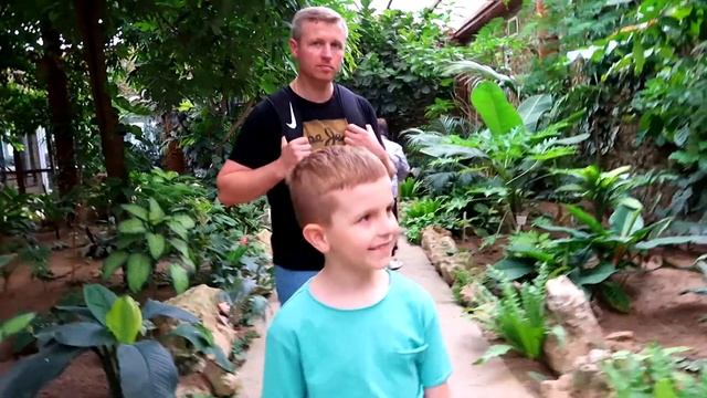 VLOG: Часть-1 Парк птиц Воробьи. Куда поехать с ребенком в подмосковье. ЛЕТО 2019 г. смотреть онлайн
