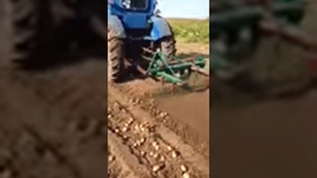 Картофелекопалка боковая однорядная для трактора Т-40 село Урманчеево смотреть онлайн