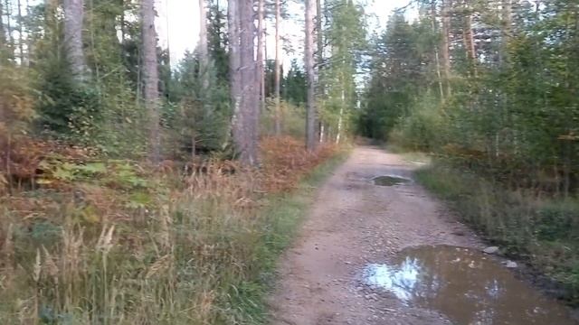 САПОГИ МОИ   СКРИП ДА СКРИП читаю стихи