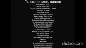 Ты скажи мне, вишня. Караоке