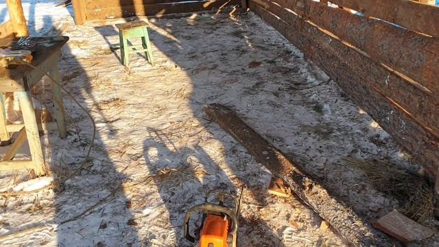 Достраиваем загон для зимнего содержания коров и перегоняем в него ангусов. смотреть онлайн