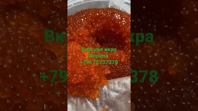 Радостное время