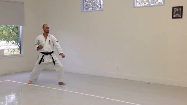 Back Stance, Inside Block (Slow, Forward) | IKD Testing Syllabus Videos | Shotokan Karate 2013